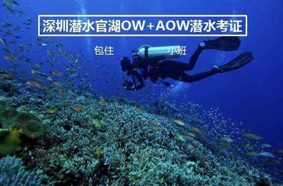 商人逃生
